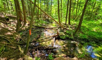 1905 Camp Munn Rd, Bradford, VT 05033