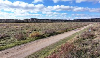 ON SURING LN unit 31 Acres 31 Acres, Argonne, WI 54511