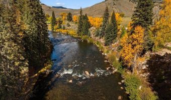 976 Wildwater Way, Almont, CO 81210