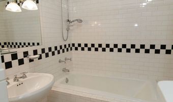 229 W Hallam St, Aspen, CO 81611