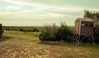 767 CR 301, Abilene, TX 79603