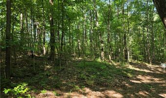 0 Lawson Federal Rd, Ball Ground, GA 30107