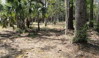 114 Melanie Ln, Apalachicola, FL 32320