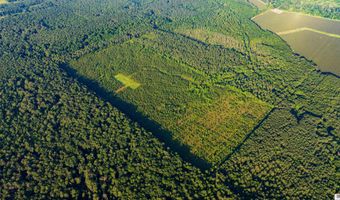 CARPENTER ROAD, Bastrop, LA 71220