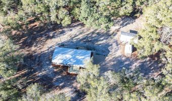 1809 Rosemary Cir, Bell, FL 32619