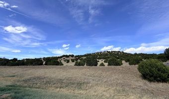 Cedar Grove Rd, Beulah, CO 81023