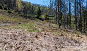 Pumpkin Patch Road, Bakersville, NC 28705