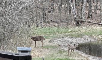 2428 14th Dr, Adams, WI 53910