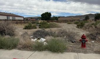675 Warren Way, Fernley, NV 89408