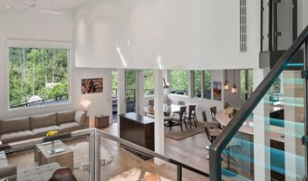 257 MOUNTAIN LAUREL Dr, Aspen, CO 81611