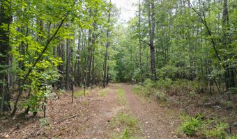 115 Smith Island Trl B, Bonneau, SC 29431