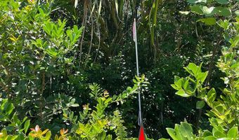 BEACH RD, Keaau, HI 96749