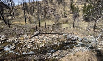 122 Black Hollow Rd, Bellvue, CO 80512