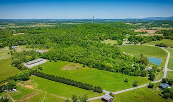 705 Union Chapel Rd, Afton, TN 37616