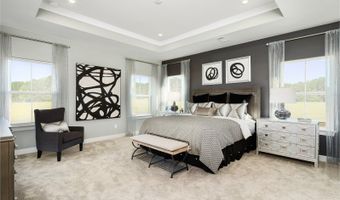 30500 Indigo Way Plan: Savannah with Basement, Georgetown, DE 19947