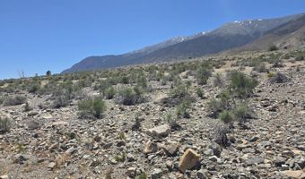 110 Shores Dr, Carson City, NV 89415