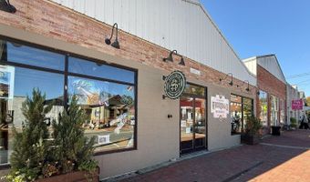 255 Lowry St, Ball Ground, GA 30107