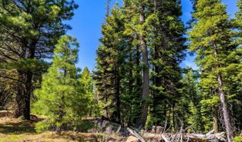 8735 Bering Rd, Alturas, CA 96101