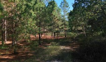 01 Goose Platter Rd, Batesburg, SC 29006