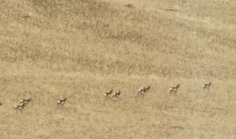 95 Mill Draw Overlook, Belfry, MT 59008