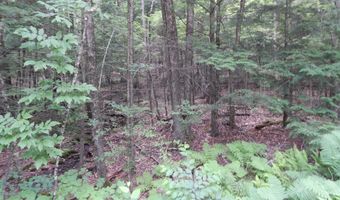 Pine Cliff Road, Alstead, NH 03602