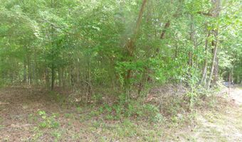 Winfield Road, Appling, GA 30802