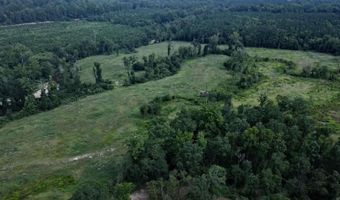 tbd 54.89 Acres N Hwy 53, Arkadelphia, AR 71923