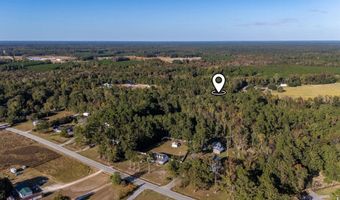 Barnes Rd, Andrews, SC 29510