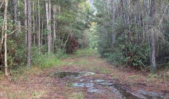 Lower Bay Road, Bay St. Louis, MS 39520
