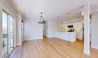 15 W Bellflower St 2, Boston, MA 02125