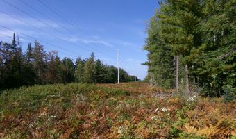 V/L 30AC Lake Winyah Road, Alpena, MI 49707