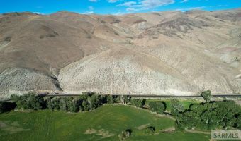 Tbd Morgan Creek Road, Challis, ID 83226