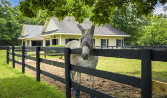 517 Marion St SE, Aiken, SC 29801