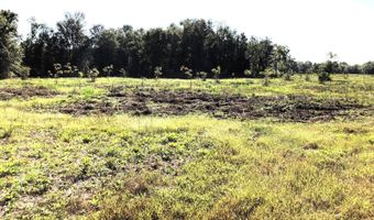 1071 LR 3, Ashdown, AR 71822