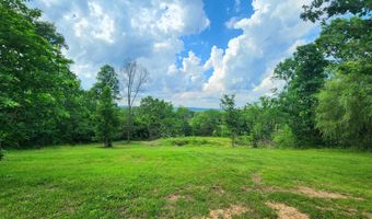 17529 St Highway U, Ava, MO 65608