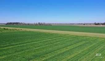 Lot 14 Davis Pond Road, Atmore, AL 36502