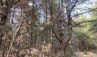 Lot 7 N Riverside Road, Cable, WI 54821