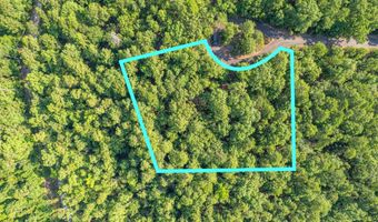 11 Pertusa Way, Hot Springs Village, AR 71909