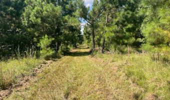 2672 Big Fork Rd, Barnwell, SC 29812