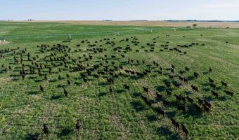 885 Th Rd, Bassett, NE 68714