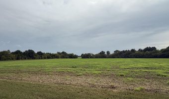 16435 County Road 290, Asbury, MO 64832