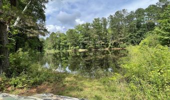 3851 Espey-Hedgepeth Rd, Bailey, MS 39320