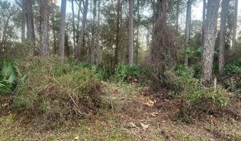34 Gibson Rd, Apalachicola, FL 32320