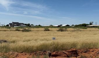 1015 SE 1620, Andrews, TX 79714