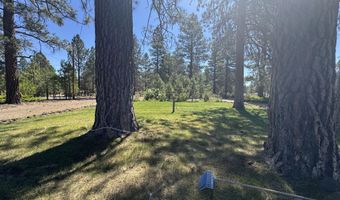 5536 Seagull Dr, Bonanza, OR 97623