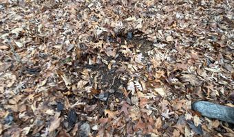 TBD1 E Willow Rd, Bloomfield, IN 47424