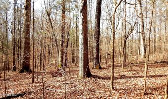 519 247 Country Rd, Bruce, MS 38915