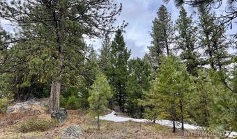 Tbd Hilltop Rd, Cascade, ID 83611