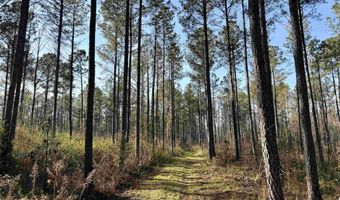 Highway 28, Abbeville, SC 29620