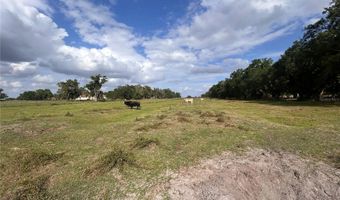 WASHINGTON STREET, Arcadia, FL 34266